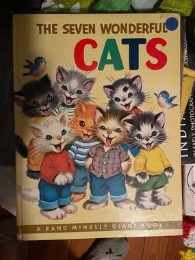 Vintage Seven Wonderful Cats Children’s Illustrated book kittens illustrations